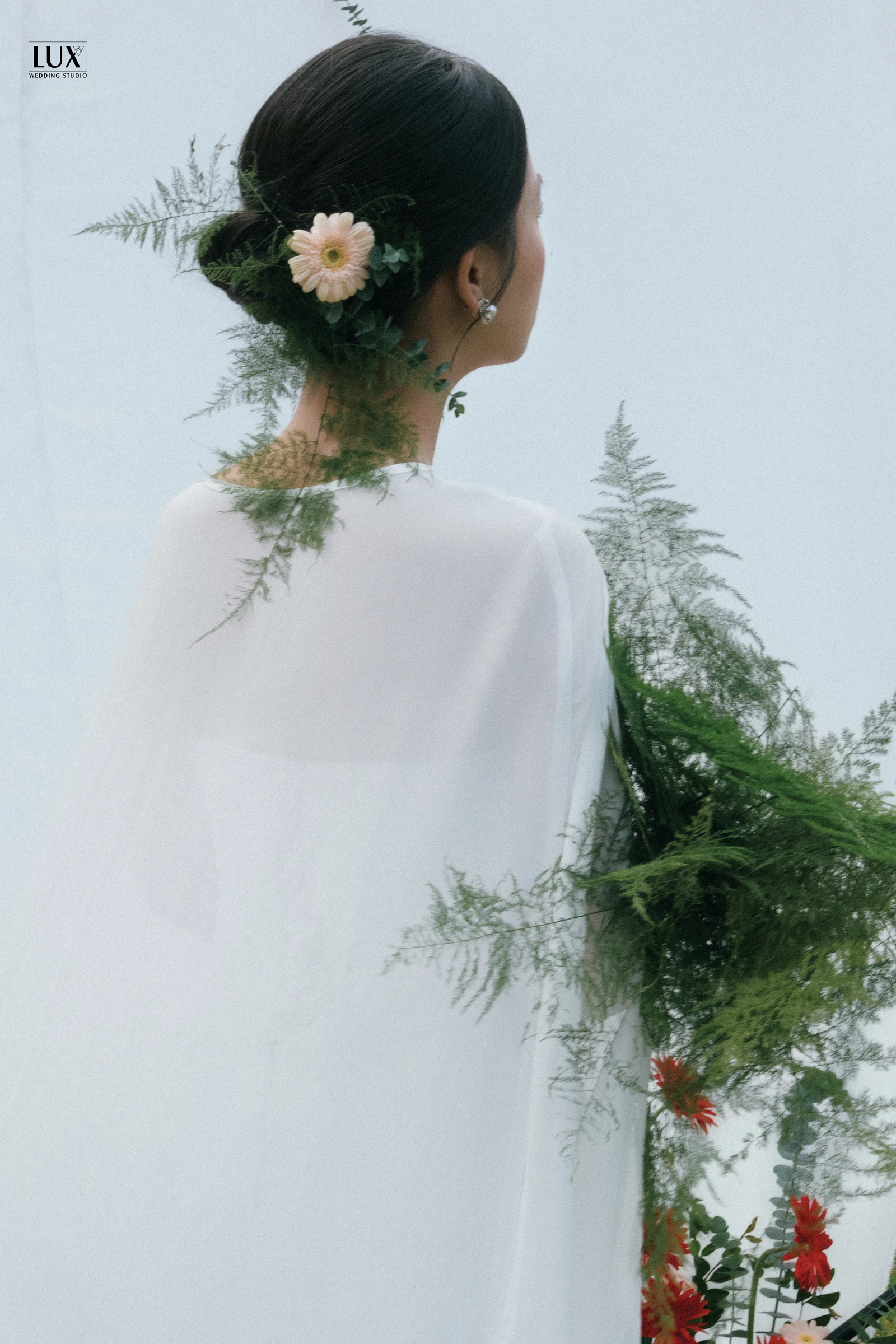 AMI05166.jpg