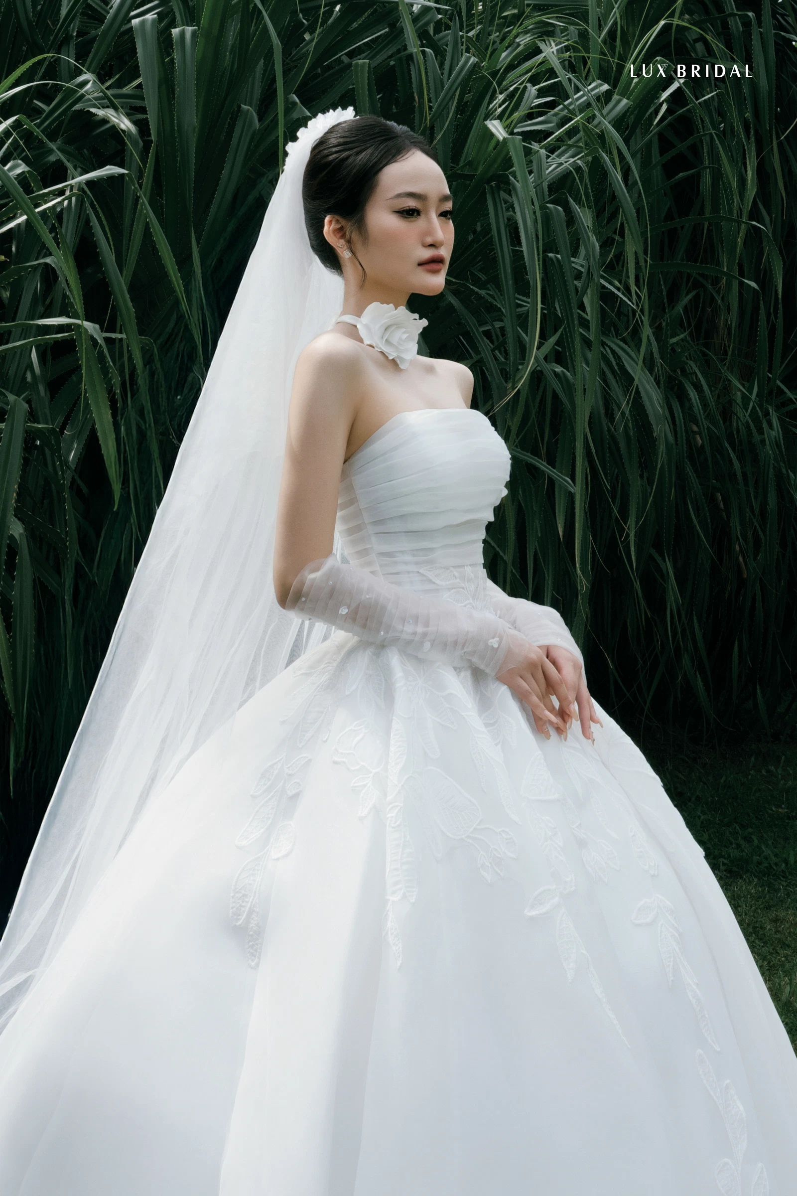 AMI07379-Đã khôi phục.jpg