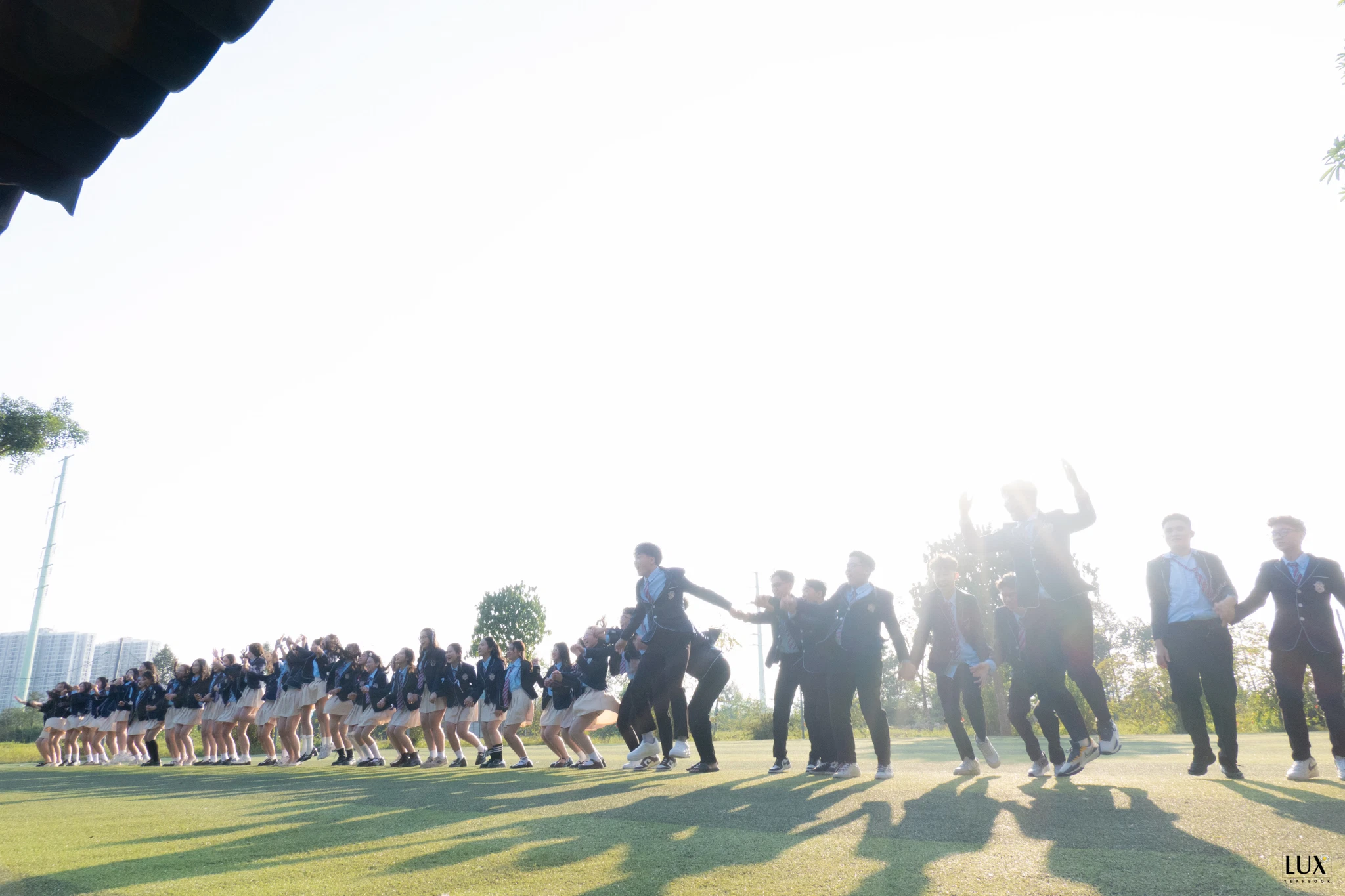 AMI00186.jpg