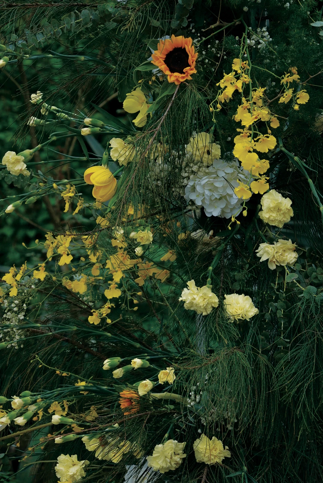 AMI09971.JPG