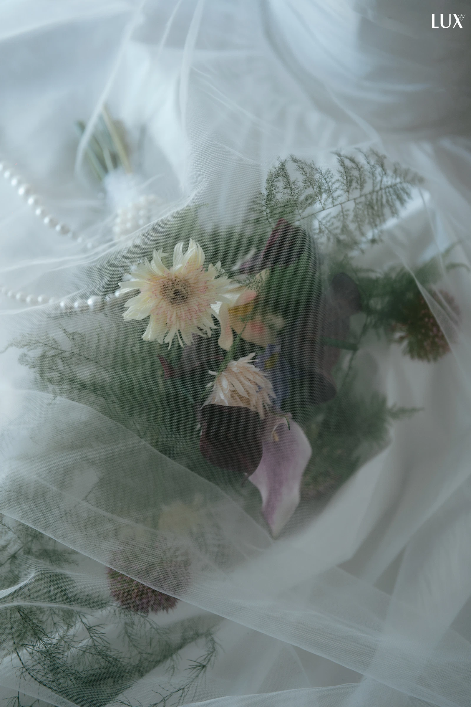 L5_08848.jpg